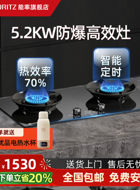 能率EZ03大火力燃气灶煤气灶家用双灶嵌入式炉灶台灶具官方旗舰店