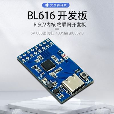 蓝牙RISCV内核物联网开发板