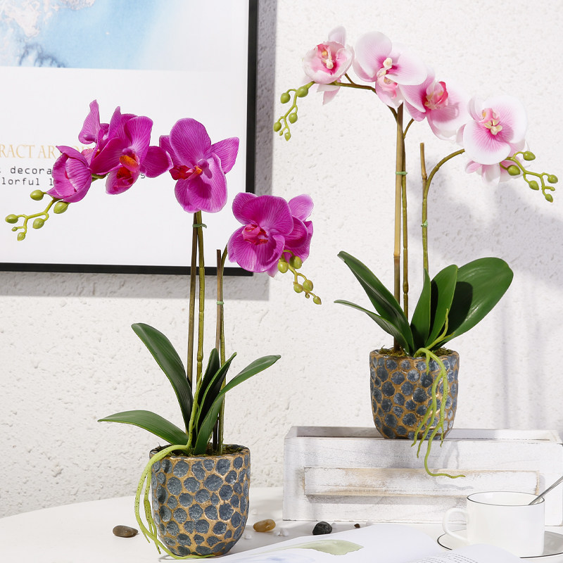 蝴蝶兰仿真花套装摆件家居客厅室内绿植假花盆栽装饰花小盆景摆设