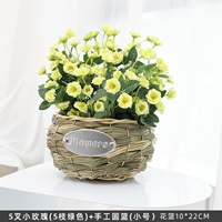 Зеленый маленький комплект