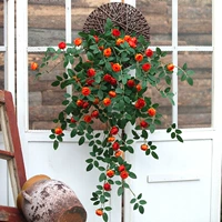 Оранжевое фрисби, 85 см