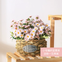 Маленький баскетбол+5 куча розовых цветов