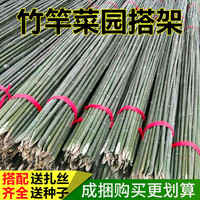 竹竿菜園搭架豆角黃瓜爬藤架促銷