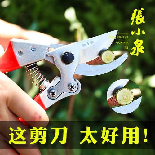 张小泉剪树枝剪刀果树修枝剪园林园艺剪鲜花剪子修花剪粗枝剪神器