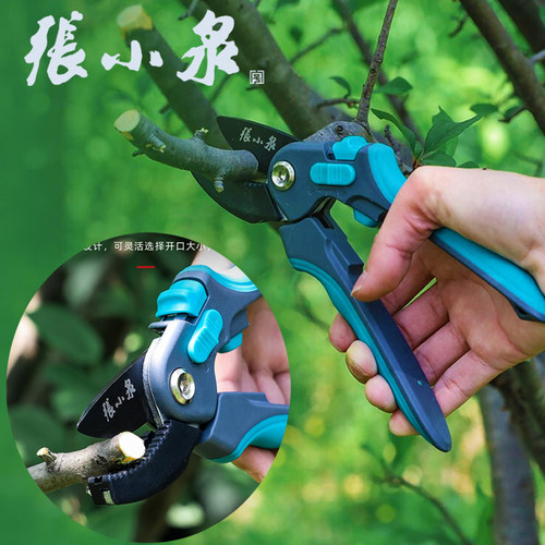 张小泉园艺剪刀修剪树枝园林修枝剪剪树枝专用花剪剪花果树绿化剪