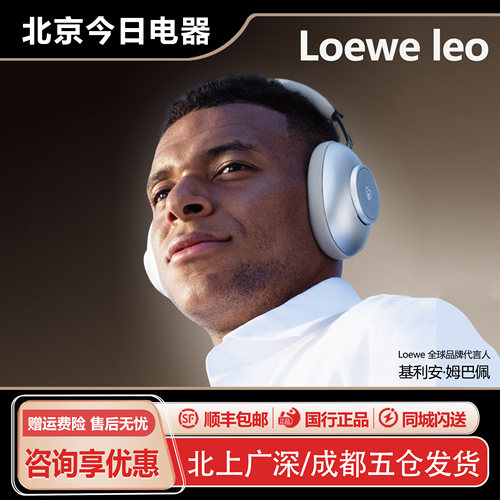 LOEWELEO蓝牙耳机无线头戴式