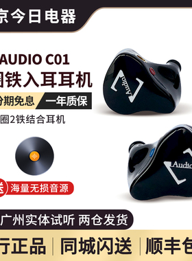 ZAUDIO/C01耳机圈铁结合入耳式耳机HIFI入耳耳机实体可试听