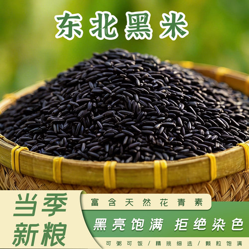 东北黑米新米香米煮粥5斤