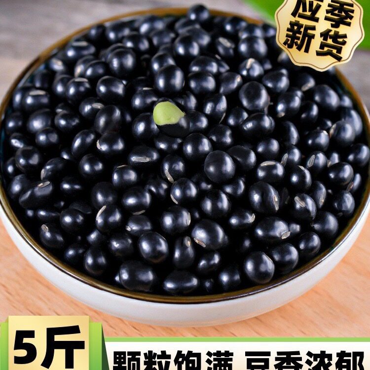 绿芯黑豆新货五谷杂粮生乌豆农家自种发豆芽打豆浆专用