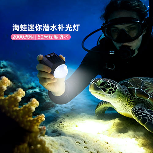 led户外潜水gopro光灯海边便携