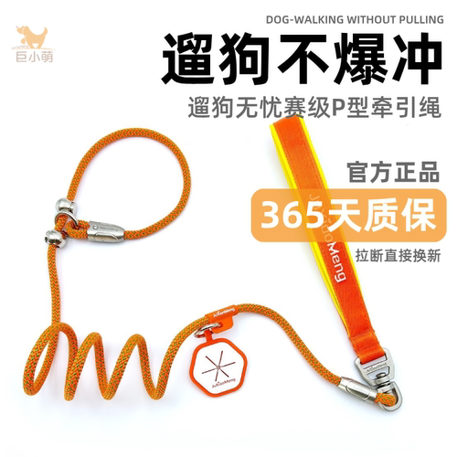 巨小萌p绳防爆冲训犬幼犬牵引绳