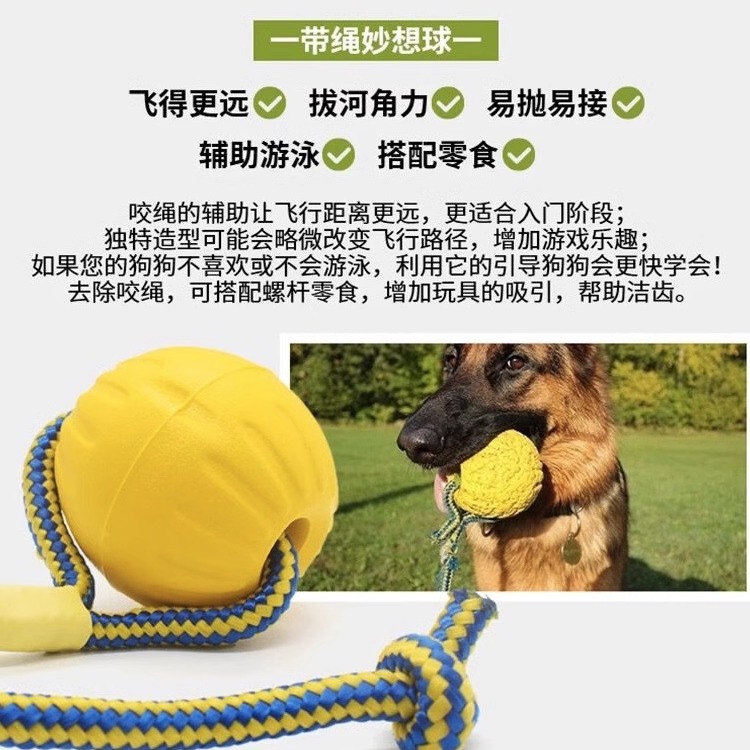 互动拔河星记宠物玩具球