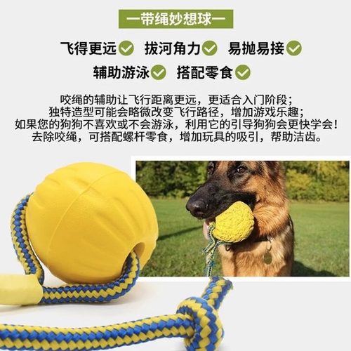 互动拔河星记宠物玩具球