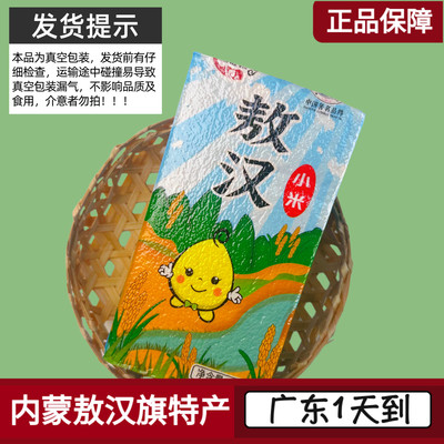 敖汉旗黄小米熬粥内蒙五谷粗杂粮