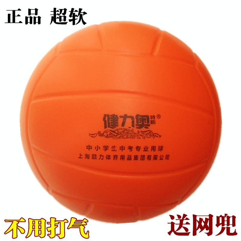 Ballon de volley - Ref 2011324 Image 1