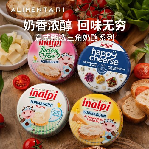 意大利无乳糖高钙帕马森三角奶酪