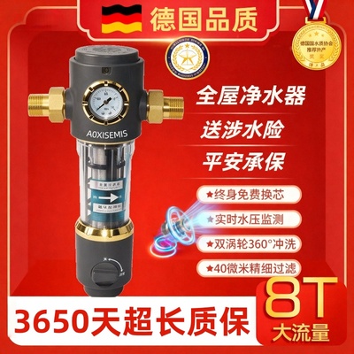 德国全屋前置净过滤器家用自动反冲洗奥史蜜斯大流量自来水净化器