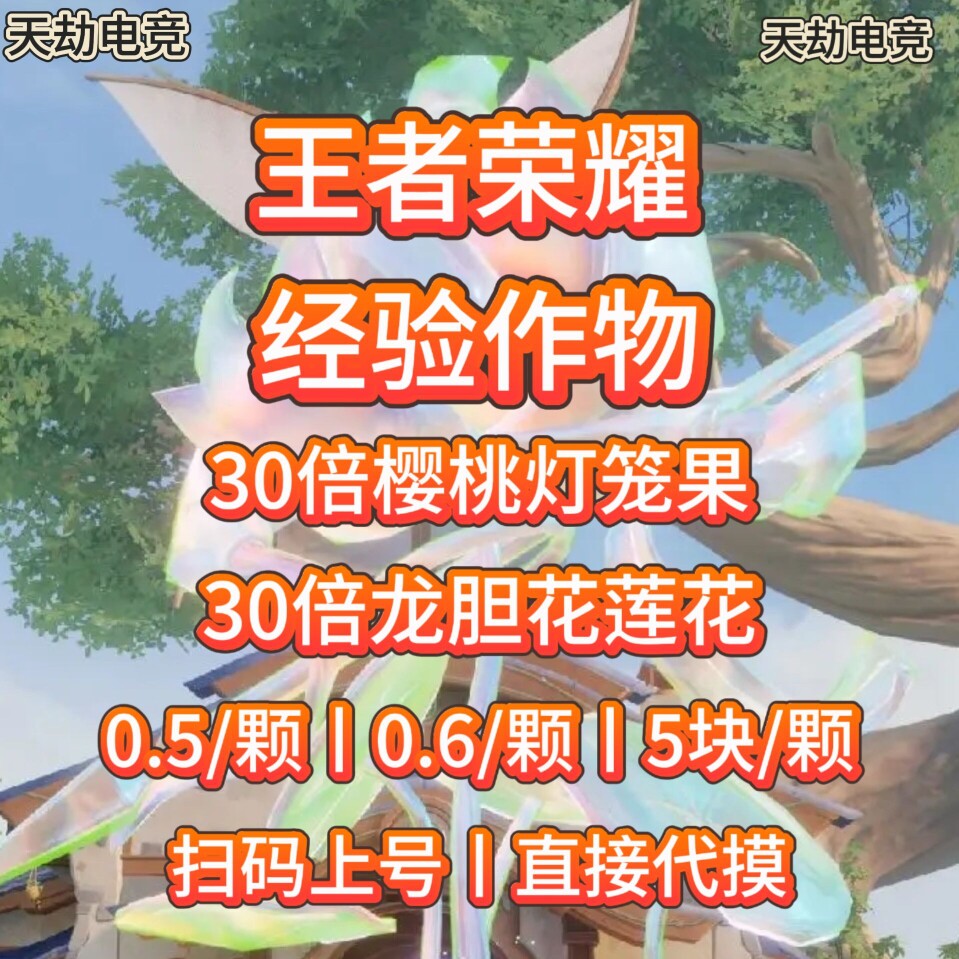 王者农场漂亮作物代收/30倍樱桃灯笼竹笋莲花