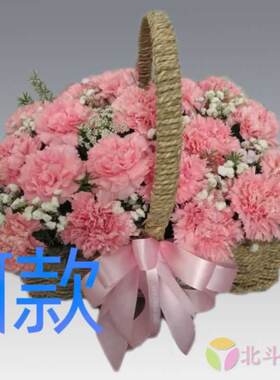 生日慰问康乃馨辽宁铁岭花店送花铁岭县西丰县昌图县同城鲜花速递