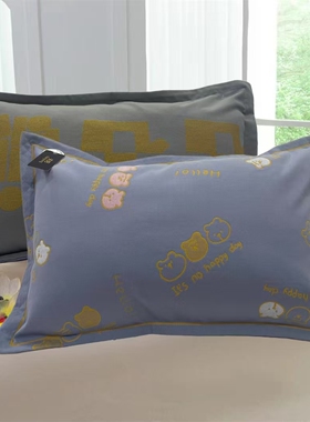 天阳儿童轻奢风枕套一对装 2024新款卡通可爱 内径35X58CM±2