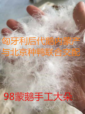 羽绒散装水洗原料国标95%白鸭绒鹅绒巴基斯坦大朵绒 羽绒服羽绒被