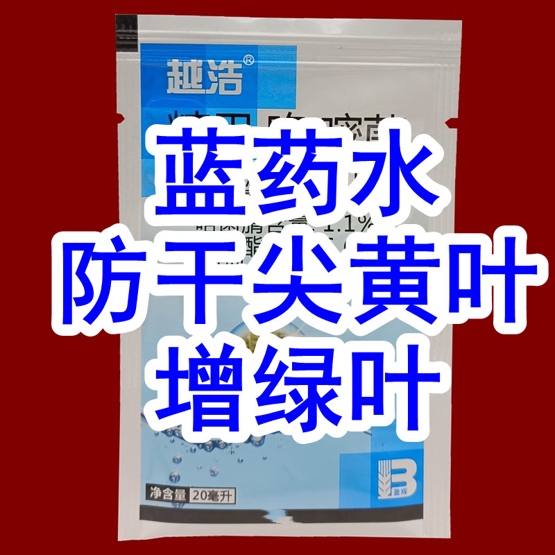 越浩蓝药水农用大蒜洋葱大葱花生防干尖黄叶上色增绿叶专用药浓绿