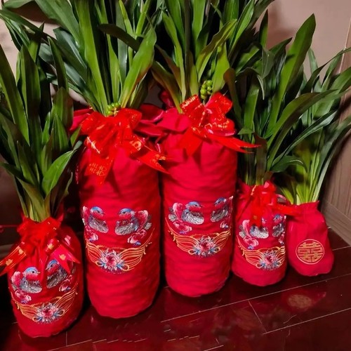 嫁妆子孙袋装红枣花生桂圆谷仓袋