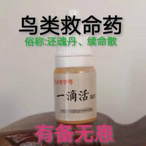 一滴活救命滴液文鸟玉鸟金青灰燕丝雀类鹦鹉八哥鹩哥鸟类急救药