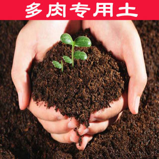 多肉植物营养土养花育苗肉肉通用土盆栽绿萝土多肉专用土包邮