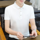 夏季 简约修身 男士 T恤翻领休闲百搭上衣服时尚 体恤 短袖 纯色Polo衫