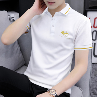 半袖 保罗POLO衫 冰丝薄款 男t恤运动休闲商务潮牌上衣男装 绣花短袖