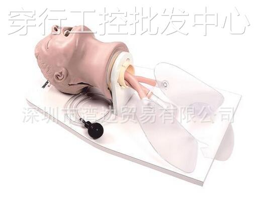 美国纳斯NASCO Airway Larry急救插管头部模型LF03699U