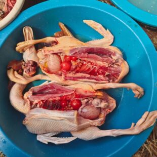 农家散养土鸭子新鲜现杀麻鸭子肉 湖南溆浦老青头鸭杂粮喂养土鸭