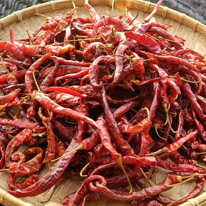湖南本地干货红辣椒溆浦油发250g