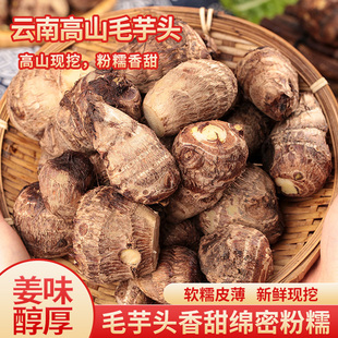 滇鲜生云南本地农家自种小芋头新鲜蔬菜粉糯毛芋头原产地直发