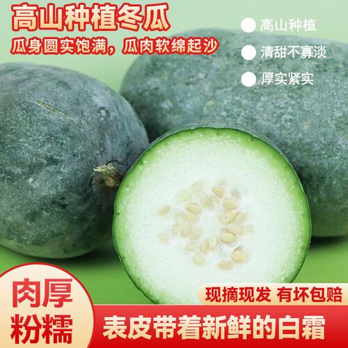 滇鲜生农家自种现摘新鲜小冬瓜香冬瓜清香口感当季新鲜蔬菜小冬瓜