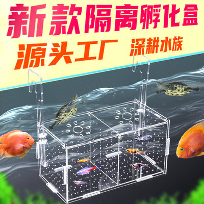 鱼缸隔离盒繁殖孵化盒斗鱼饲养孔雀鱼产房海水透明亚克力乌龟发色