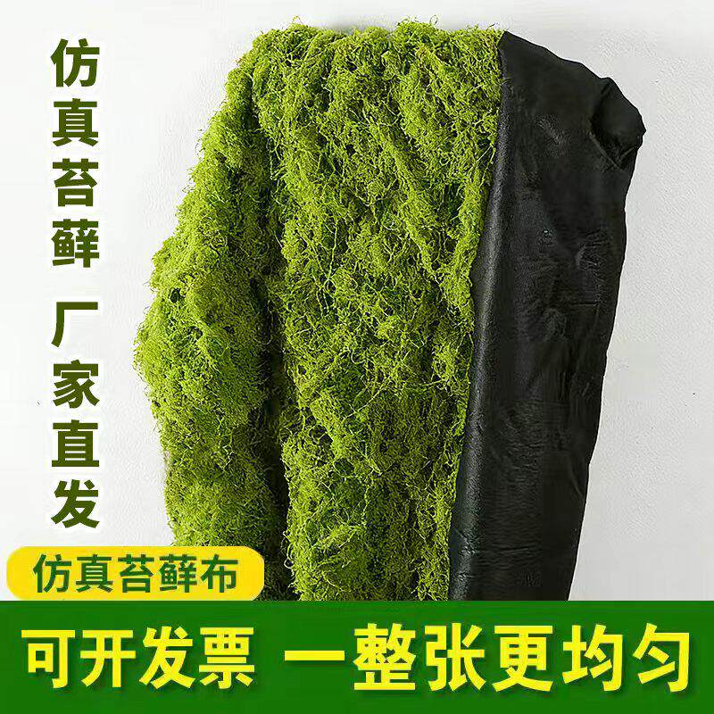 仿真苔藓草皮仿生苔藓人造草坪假青苔微景观绿植橱窗铺面造景装饰
