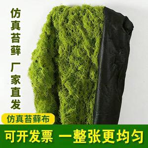 仿真苔藓草皮仿生苔藓人造草坪假青苔微景观绿植橱窗铺面造景装饰