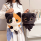 三花猫玩偶双肩包女可爱卡通暹罗猫咪毛绒小背包痛包送女生礼物潮