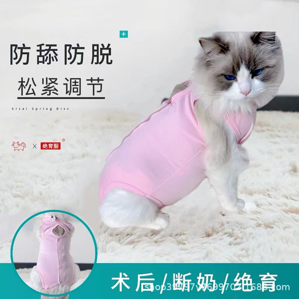 跨境猫咪手术服母猫绝育服断奶服术后服防舔夏宠物猫弹性衣服批发