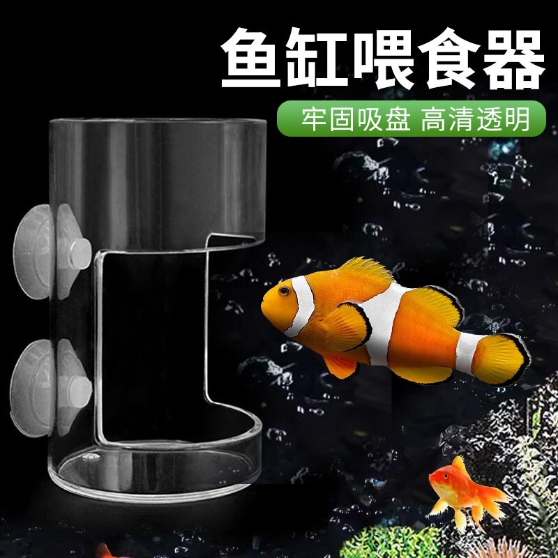 鹦鹉鱼缸喂鱼器鱼食漂浮喂圈悬浮投食圈锦鲤水族箱鹦鹉喂食器