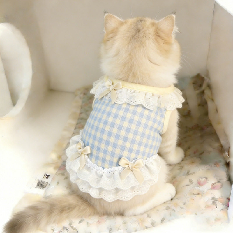 猫咪衣服春夏薄款公主蕾丝花边背心裙防掉毛布偶猫幼猫小型犬服装