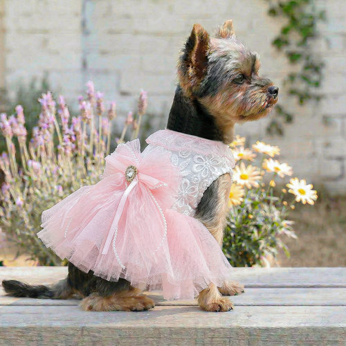 PETCIRCLE宠物小狗猫咪衣服可爱小型犬秋冬新款蜜桃泡泡婚纱