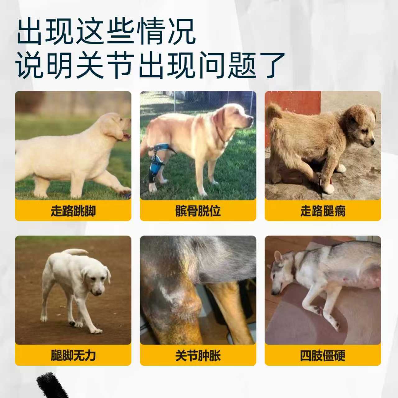 宠物鲨鱼软骨素胶囊CCP硫酸软骨素猫用狗狗强化骨骼补钙一件代发
