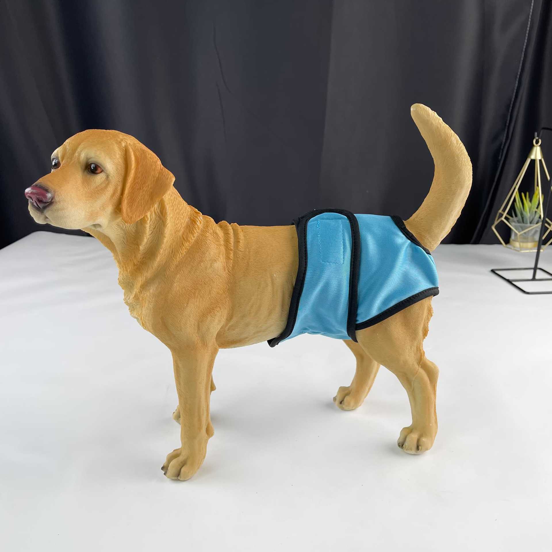 新款狗狗生理裤 宠物魔术贴内裤 小中大犬防骚扰生理裤 宠物用品