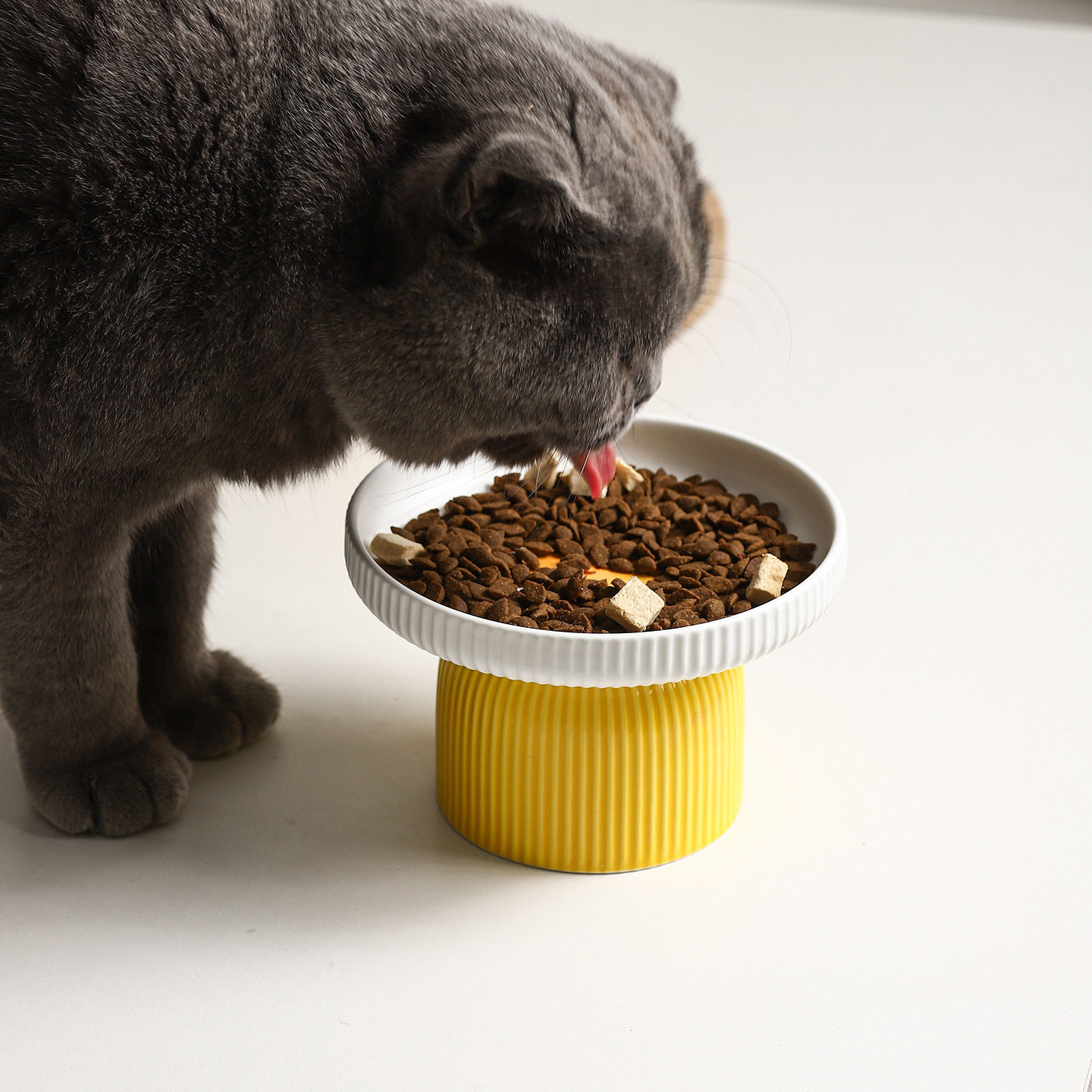 蛋黄陶瓷猫碗宠物碗猫食碗饭碗猫盘子罐头盘零食盘加菲猫高脚护颈