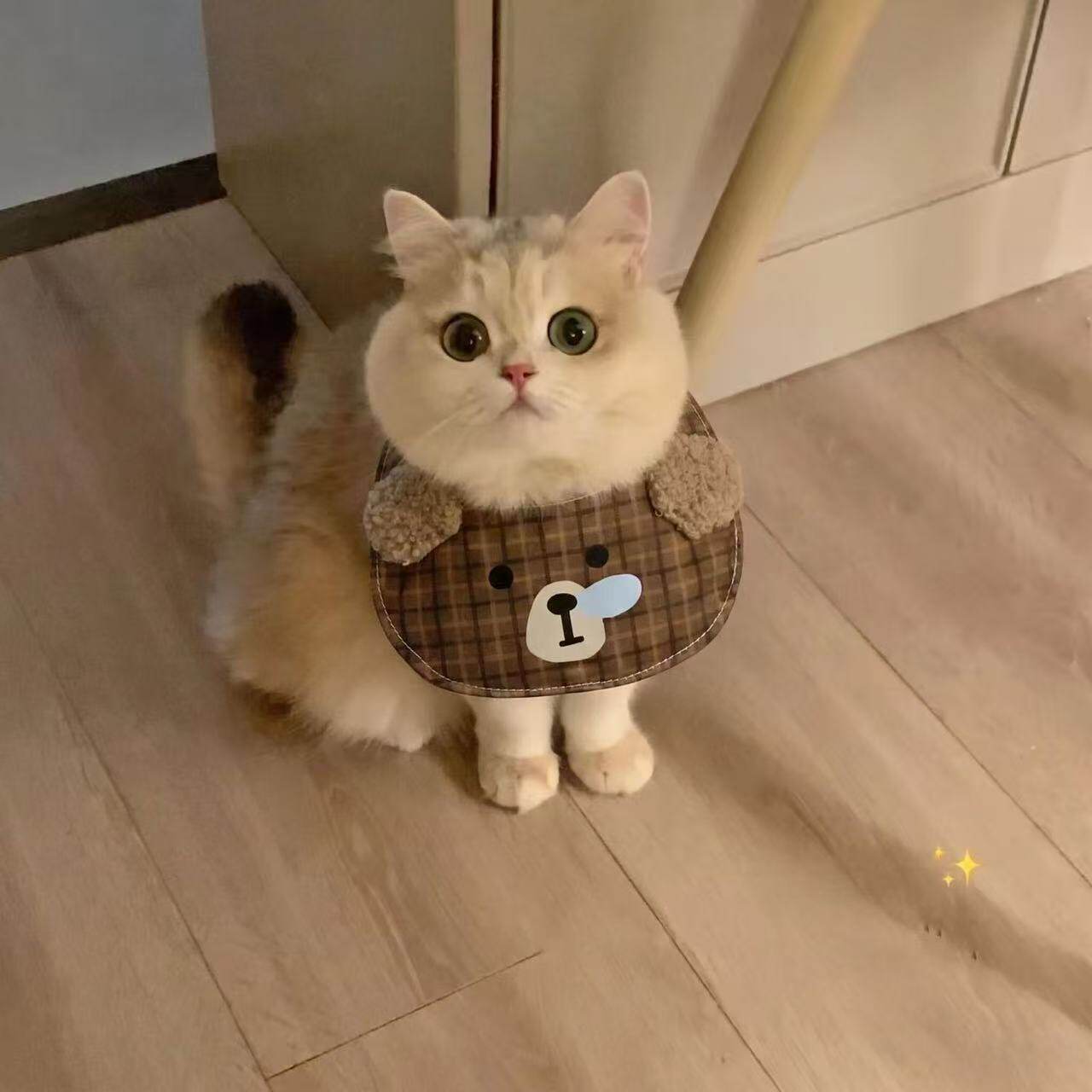 宠物口水巾可爱猫咪卡通动物围脖拍照装饰中小型犬围兜