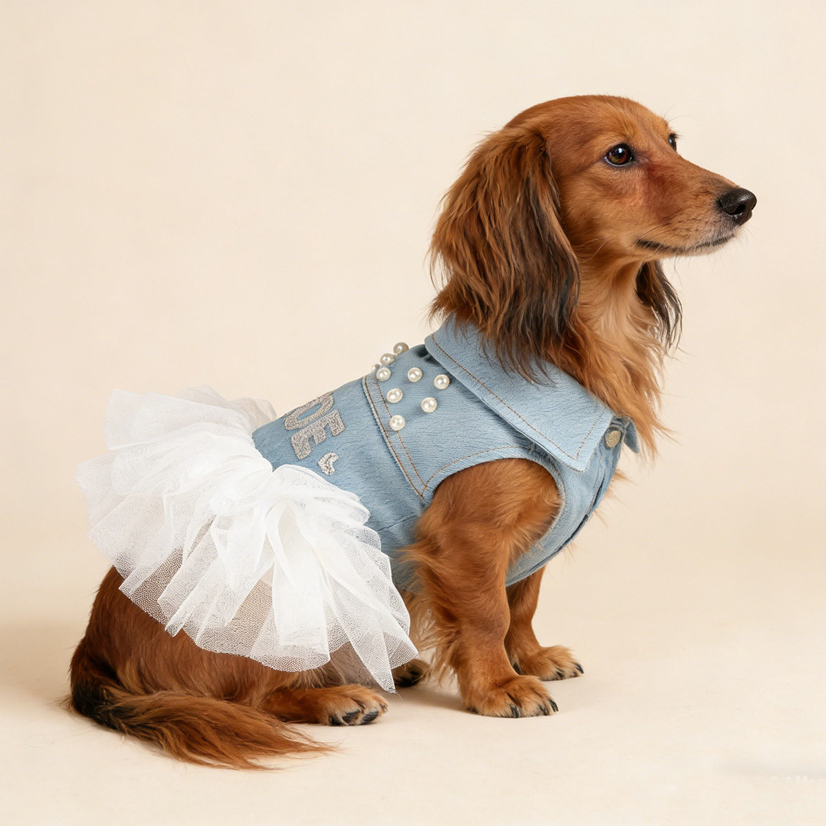 现货宠物服装宠物小狗猫咪衣服小型犬春秋新款新娘牛仔蓬蓬裙