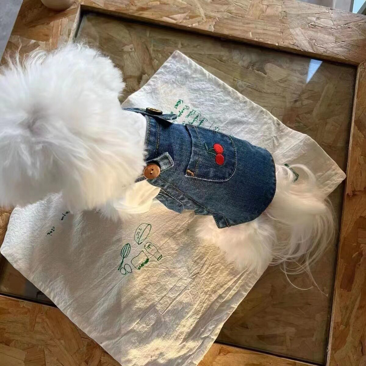 新款狗狗宠物猫咪牛仔裙子用品泰迪比牛仔裙子熊春夏小型犬衣服用